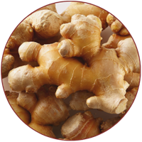 अदरक (Ginger)
