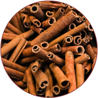 दालचीनी (Cinnamon)