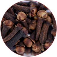 लौंग (Clove)