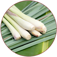 लेमनग्रास (Lemongrass)