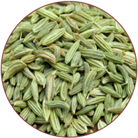 सौंफ (Fennel Seeds)